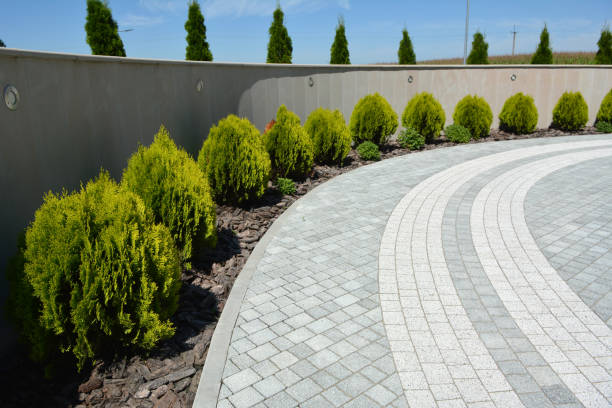 Best Best Driveway Pavers  in Lemon Grove, CA